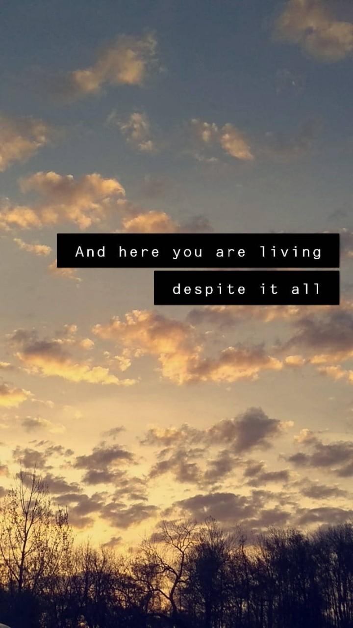 Download Sunset Aesthetic Tumblr Quotes Wallpaper  Wallpapers